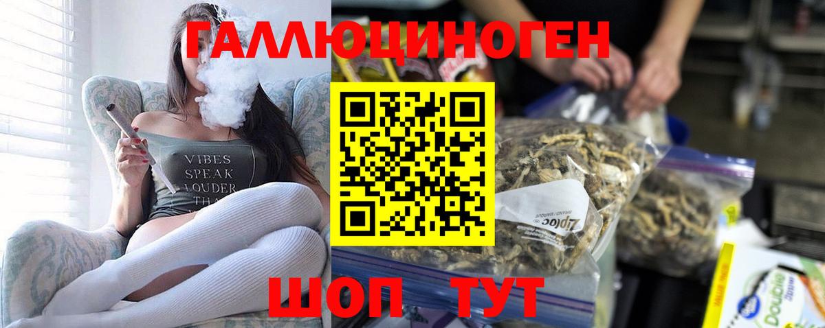 Камышин  Галлюциногенные грибы мухоморы  Вход с VPN 