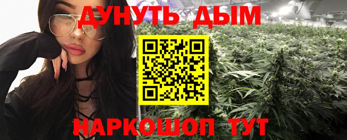 Бошки марихуана гибрид  Вход с VPN  Канабис план  Бошки марихуана план  Камышин 